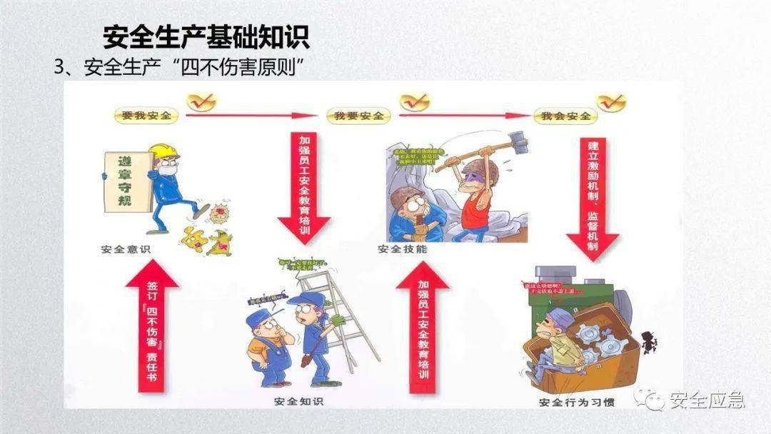 2023年安全培训必备10部警示片及新员工三级安全培训课件