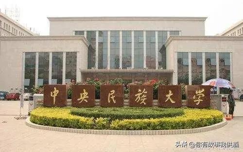 选985别只看排名,搞懂大学学术氛围和专业优势才不踩坑