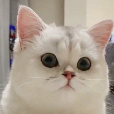 准大一必看:大学社团怎么选?学长学姐扫楼攻略来了