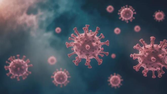 印度现尼帕病毒疫情,多国加强防控措施应对