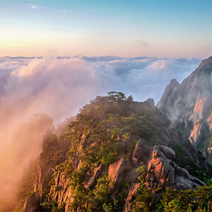 疫情延期上班期间公司办停薪留职该咋办,律师来解答