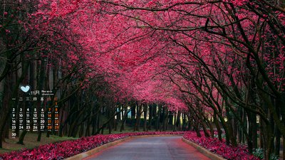 泄露信息举报电话12321,多种举报方式及受理职责介绍