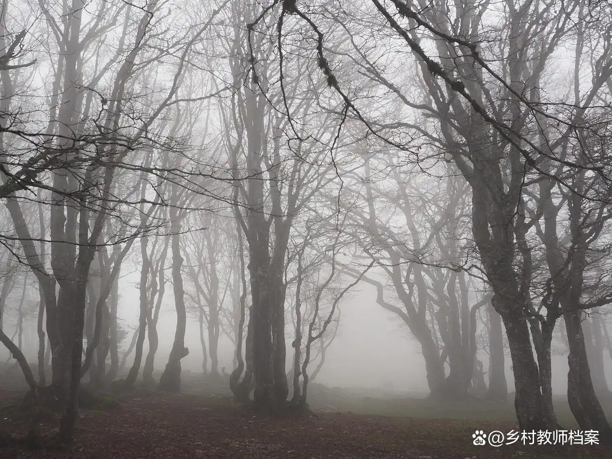 2026年高考分数线大洗牌,家长考生如何精准卡位?