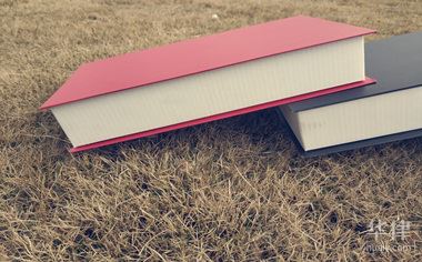 福银高速柳陂收费站严重事故处理经过及法律解读