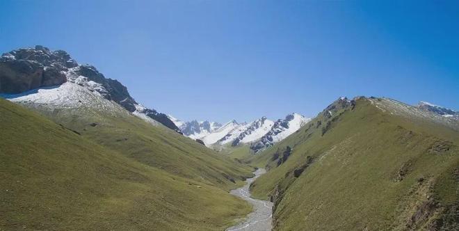 高考地理:植被特征考点全解析,气候地形等要素综合分析