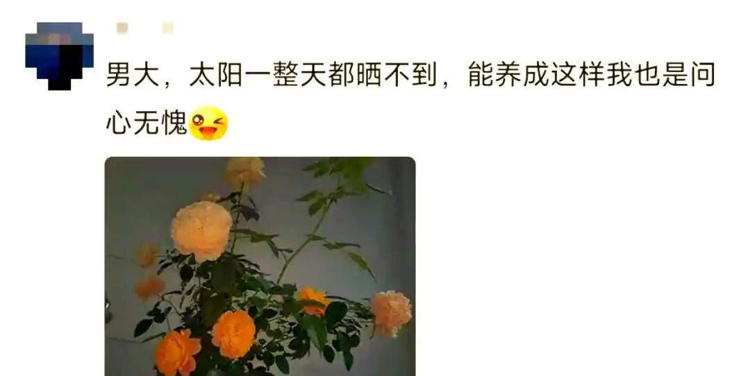 大学宿舍超宽敞,入住虽不习惯但幸福,还能个性改造