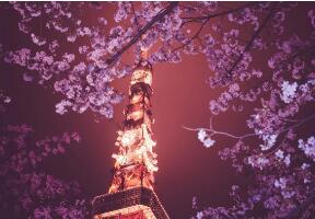 湖南少数民族高考加分 最新政策速查